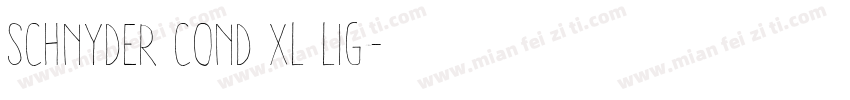 Schnyder Cond XL Lig字体转换
